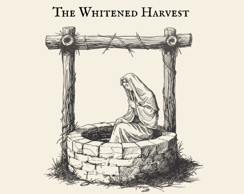 The Whitened Harvest